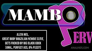 aylla mel brazilian newbie cutie great body perfect figure chat