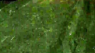 Bored Slut Wife Rams Dildo in Pussy and Plugs Tight Ass