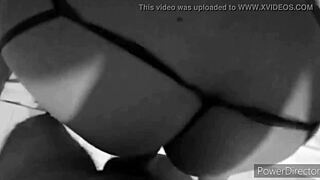 Gordibuena ends year on all fours milking cumshot 💦🍑