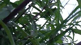 Chakalita Craves Deep Missionary Thrusts in Passionate Embrace