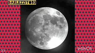 hugomontador pounds hot trans ass in steamy fuck