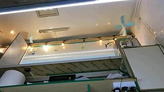 boss fingers wet shaved pussy of brunette shop girl while customer chats