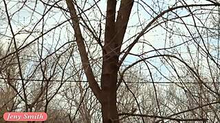 jeny smith flashes stockings garter belt heels outdoors spring spanking fun