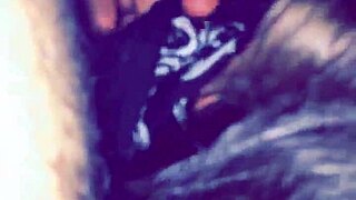 cassandra travesti meets her client