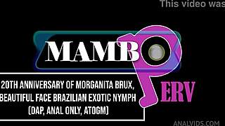 Damn! Morganita Brux's exotic Brazilian ass devoured by anniversary DAP monsters
