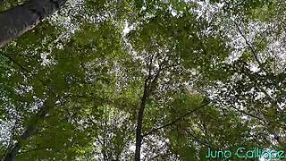 damn check out this milf slut flashing her dildo deep in forest masturbation spied on outdoors!