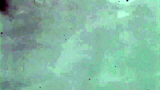 i uncover my vintage lesbian bondage secrets hairy beavers bound