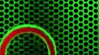 hey sara jay and aiden strap-on warm-up turns into big tits bbc orgy muff diving strapon pussy licking 4some!