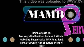 Rainbow Sluts Larinha Takes Dap Anal From 3 Huge Bbc Bareback Ass To Mouth Pee!!