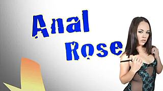 Kristina's Stockings Lingerie Lead to Hardcore Anal Pounding and Gaping