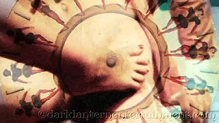 dark lantern's stiff poker erotic confessions from victorian gentleman's secret life 😈