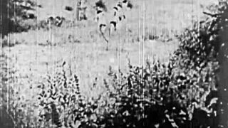 vintage hairy beauty bent over doggystyle in outdoor retro paradise