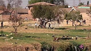 thick ebony bbw gets fucked hard in dirty ghetto toilet 💦😈