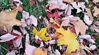 first time love song remakes compilation blog free fun