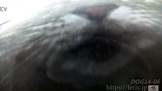 japanese daughter drinks urine in extreme piss fetish