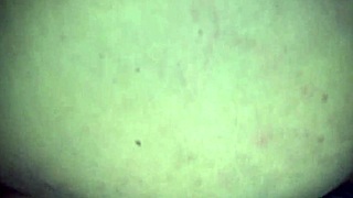 want me to rim that ass while my bbc bull pounds me amazon style then flips to reverse missionary