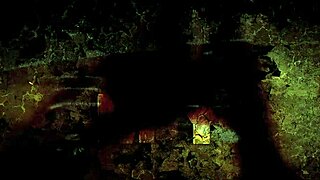 i absolutely love this vintage erotic art