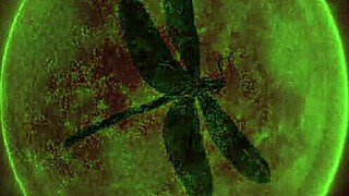 hey remember that wild dragonfly scene from dark lantern?