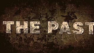 Vintage Erotic Close-Up of Hairy Beaver Getting Fucked