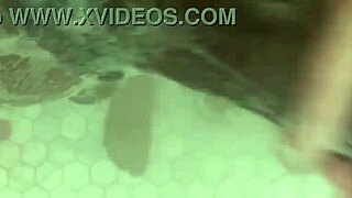 stepsis shakes big ass begging stepbro to creampie her wet pussy anywhere