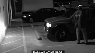 I sucked off that security guard slut to dodge my fine