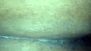 BbW Home Video From Late November Afternoon