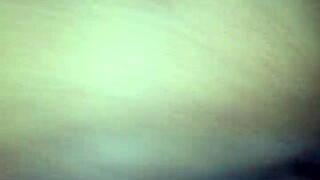 BbW Home Video From Late November Afternoon