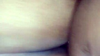 BbW Home Video From Late November Afternoon