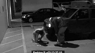 I sucked off that security guard slut to dodge my fine