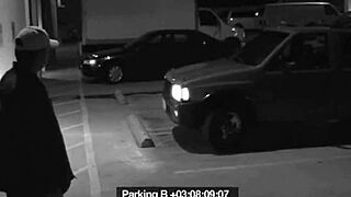 I sucked off that security guard slut to dodge my fine