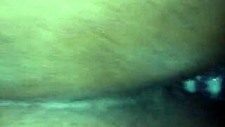 BbW Home Video From Late November Afternoon