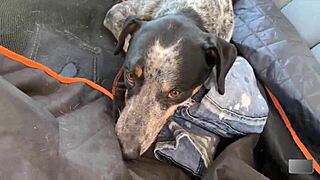 blonde big tits pov public outdoor mud fuck with monster cock