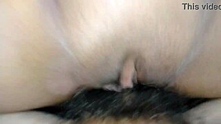 Cheating Wife Craves Secret Creampie Thrill