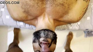 hey brazilian bodybuilder, wanna dominate that black monster cock and turn him into your little slut?