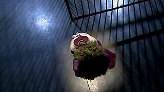 joker parody turns into wild bisexual group fuck and wet orgasms