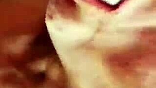 blowjob queen simz561 sucks cock like a pro deepthroat cumshot explosion!!