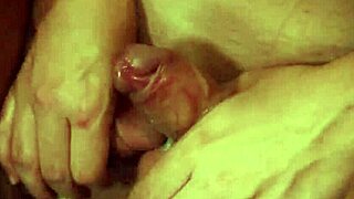 lucky dude rims and barebacks two shemales' asses while they facesit him hard