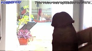 i masturbate peeking at neighbors' steamy lesbian playtime