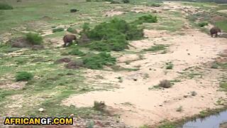 boyfriend's big white cock pounds super tight ebony pussy pov outdoors rough