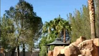 Felicity Feline flashes her tits outdoors then gets fucked public in slutty compilation