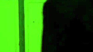 elegant thief selena strips hairy pussy teases big natural tits before cumshot