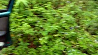 Heart-Pounding Brazilian Couple Fucks Passionately in Car on Daytime Street