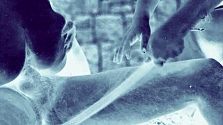 Vintage erotic art features hairy pussies in antique retro style photography collection