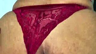 Captivating Intensity Pierces from Moray Eels' Gaze