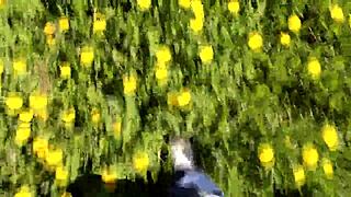 ever wonder if this stranger babe's casual suck ends with your cum down her throat?