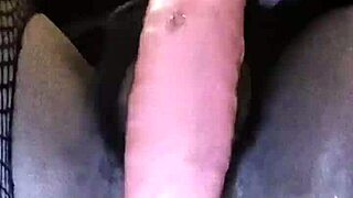 ebony emo shemale tavaius deshawn young strokes her small tits and gaping ass solo