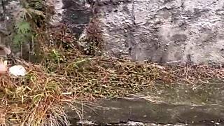 pink pussy patricinha climbs hill horny for street fuck