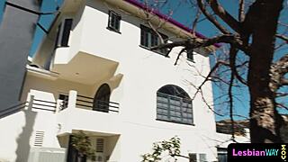 glamour babe sixtynines tattooed girlfriend then tribs her to orgasm