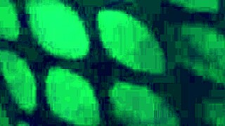 Hey, check out this sexy footjob in nylons 😍👣