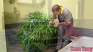 Tgirl Amanda Ferraz DOUBLE FUCKED BY Black and White Cocks Bareback!